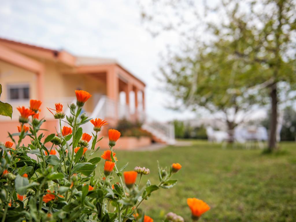 Villa Elaia Mare Fanárion Exteriör bild